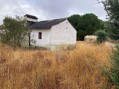 listing-picture-0