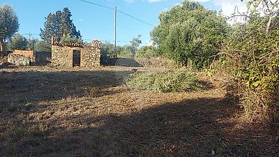 listing-picture-0