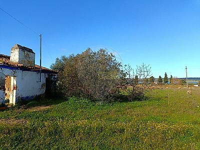 listing-picture-0