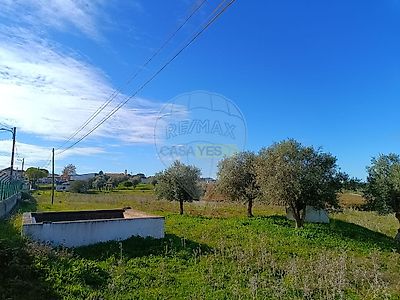 listing-picture-0