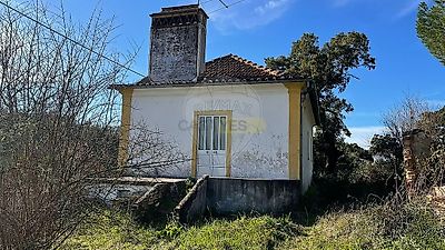 listing-picture-0