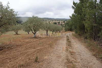 listing-picture-0