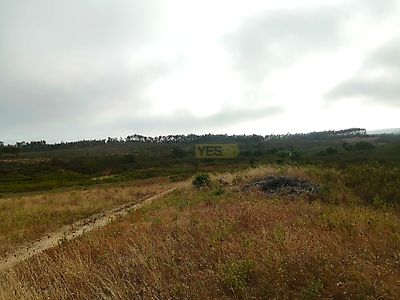 listing-picture-0