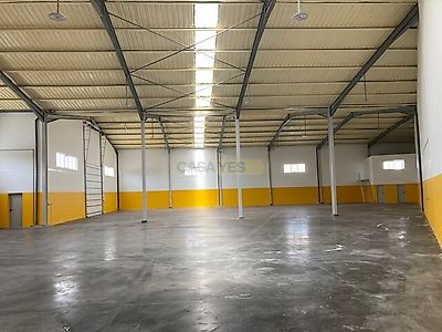 listing-picture-0