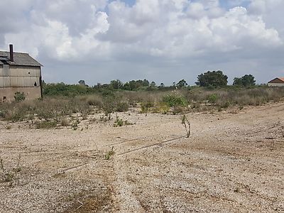 listing-picture-0