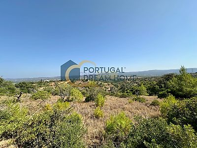 listing-picture-0