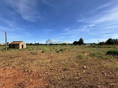 listing-picture-0