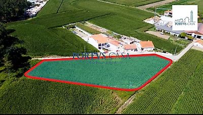 listing-picture-0