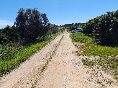 listing-picture-0