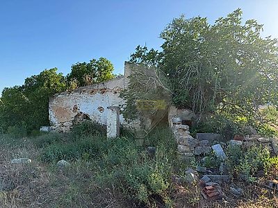 listing-picture-0