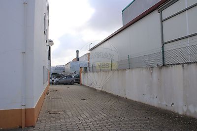 listing-picture-0