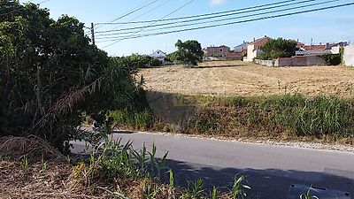 listing-picture-0