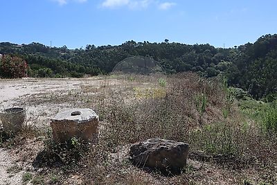 listing-picture-0