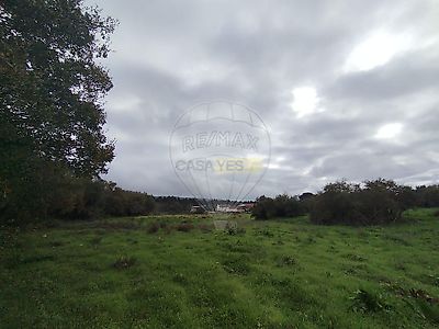 listing-picture-0