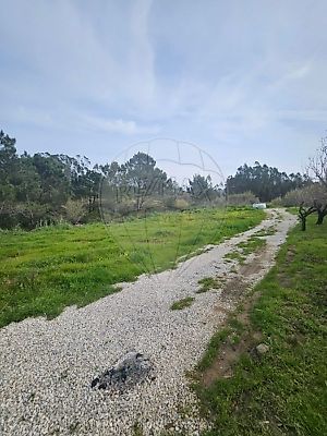 listing-picture-0