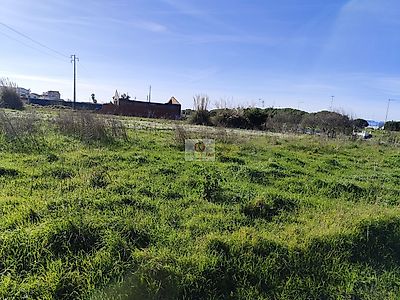 listing-picture-0
