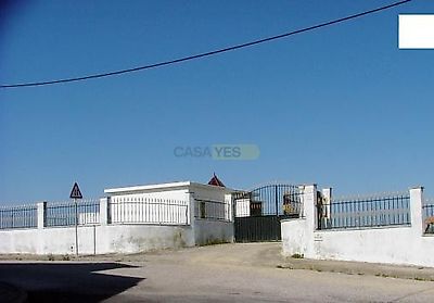 listing-picture-0
