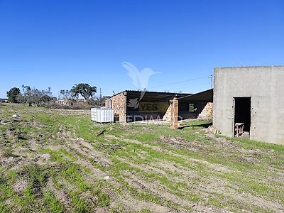 listing-picture-0