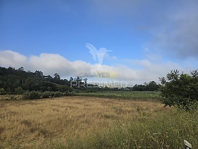 listing-picture-0