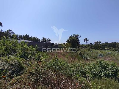 listing-picture-0