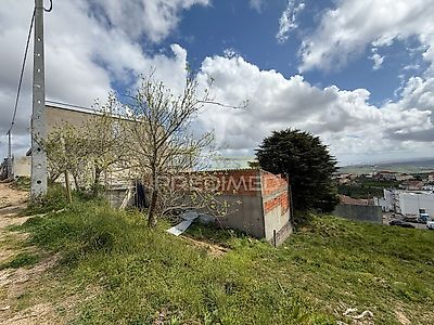 listing-picture-0