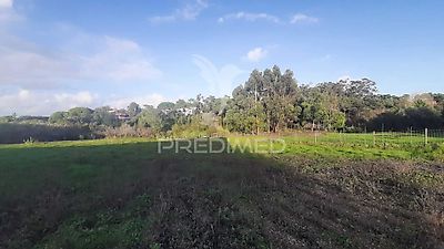 listing-picture-0