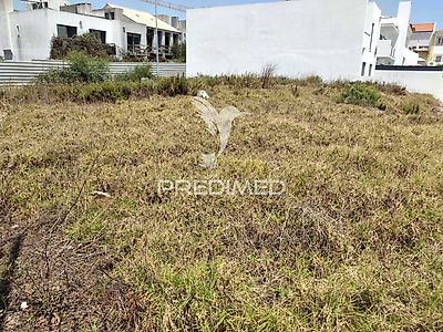 listing-picture-0