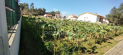 listing-picture-0