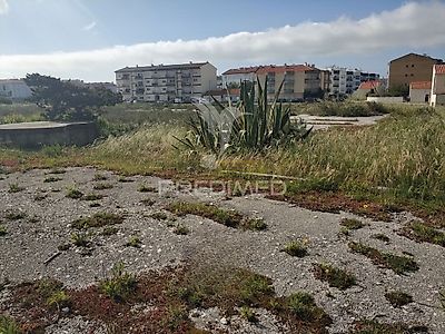 listing-picture-0