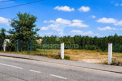 listing-picture-0