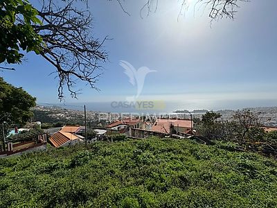 listing-picture-0