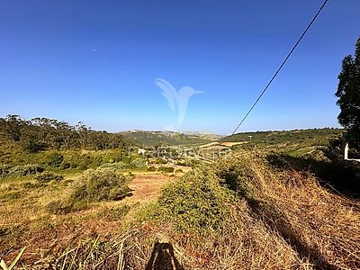 listing-picture-0