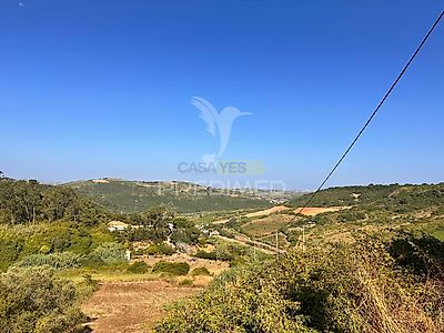 listing-picture-0