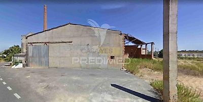 listing-picture-0