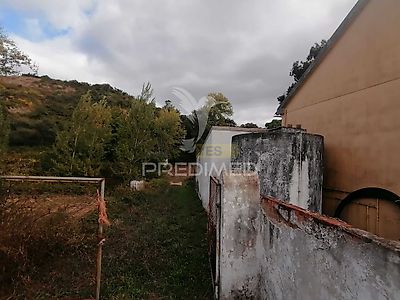 listing-picture-0