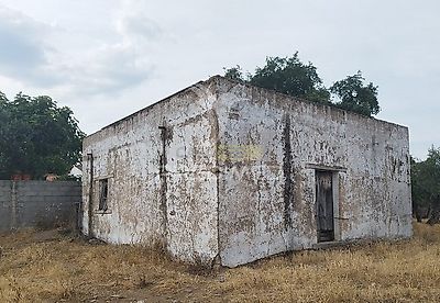 listing-picture-0