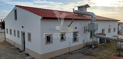 listing-picture-0