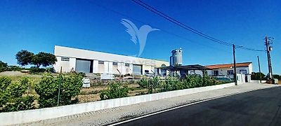 listing-picture-0