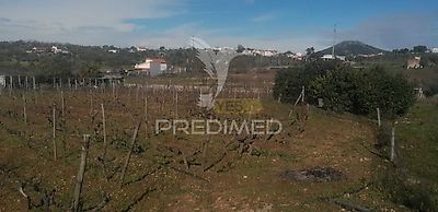 listing-picture-0