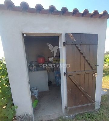 listing-picture-0