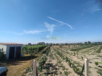 listing-picture-0