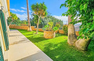 listing-picture-0