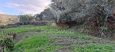 listing-picture-0