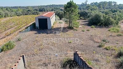 listing-picture-0