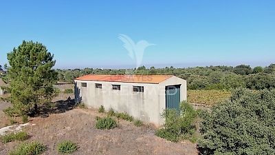 listing-picture-0