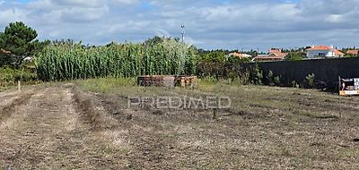 listing-picture-0