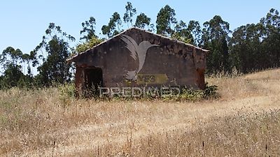 listing-picture-0