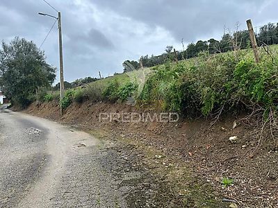 listing-picture-0