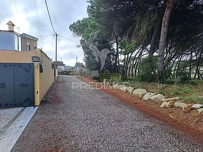 listing-picture-0
