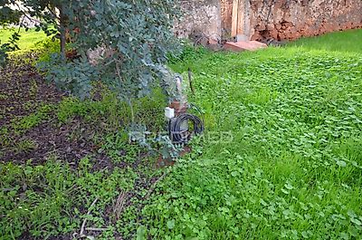 listing-picture-0